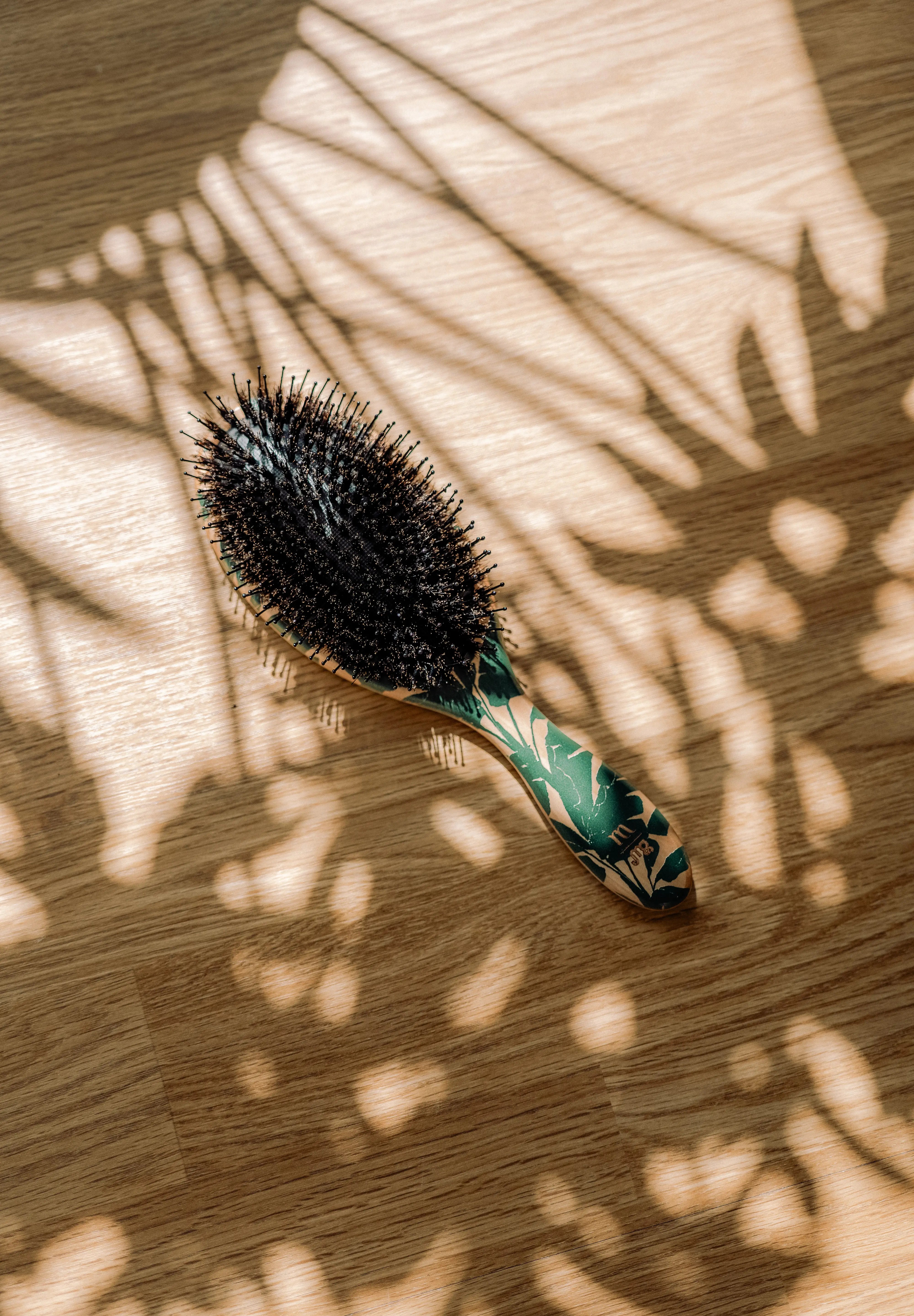 Your Hair Brush - Bird Of Paradise By Margareta Grääs