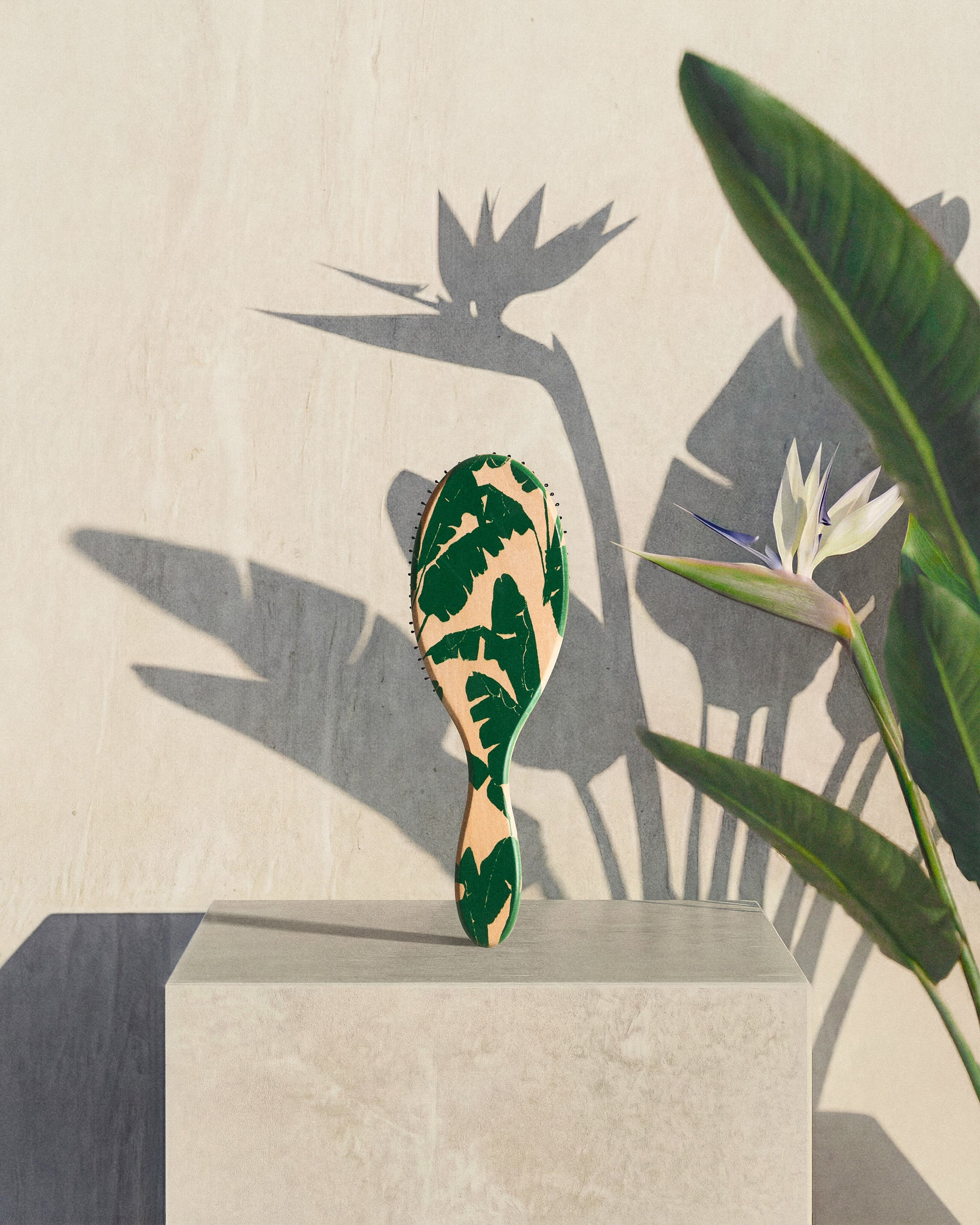 Your Hair Brush - Bird Of Paradise By Margareta Grääs