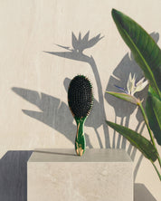 Your Hair Brush - Bird Of Paradise By Margareta Grääs