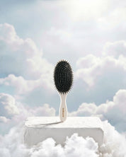 Your Hair Brush Duo -  Coffee and Cloud  | Large