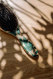 Your Hair Brush - Bird Of Paradise By Margareta Grääs