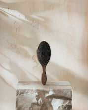 Your Hair Brush - Bird Of Paradise By Margareta Grääs